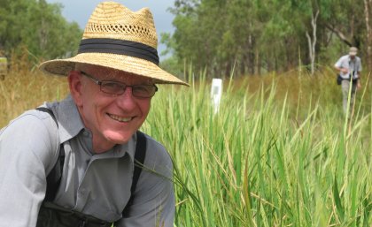 Professor Robert Henry ... Australian wild rice "tastes good and we believe it may have more beneficial health qualities than other rice species”. 